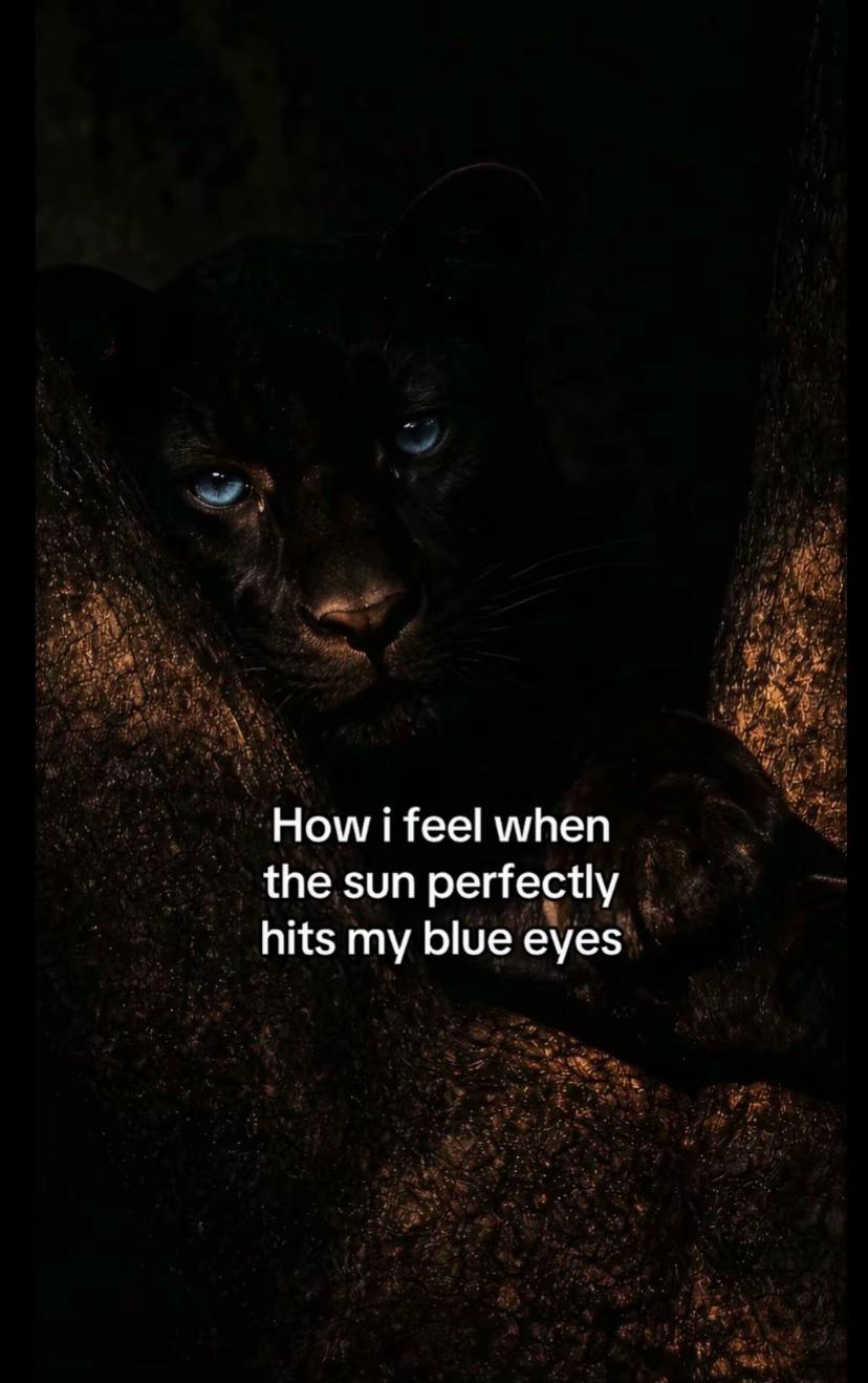 @𝒜𝓃𝓃𝒾⁸⁸⁸