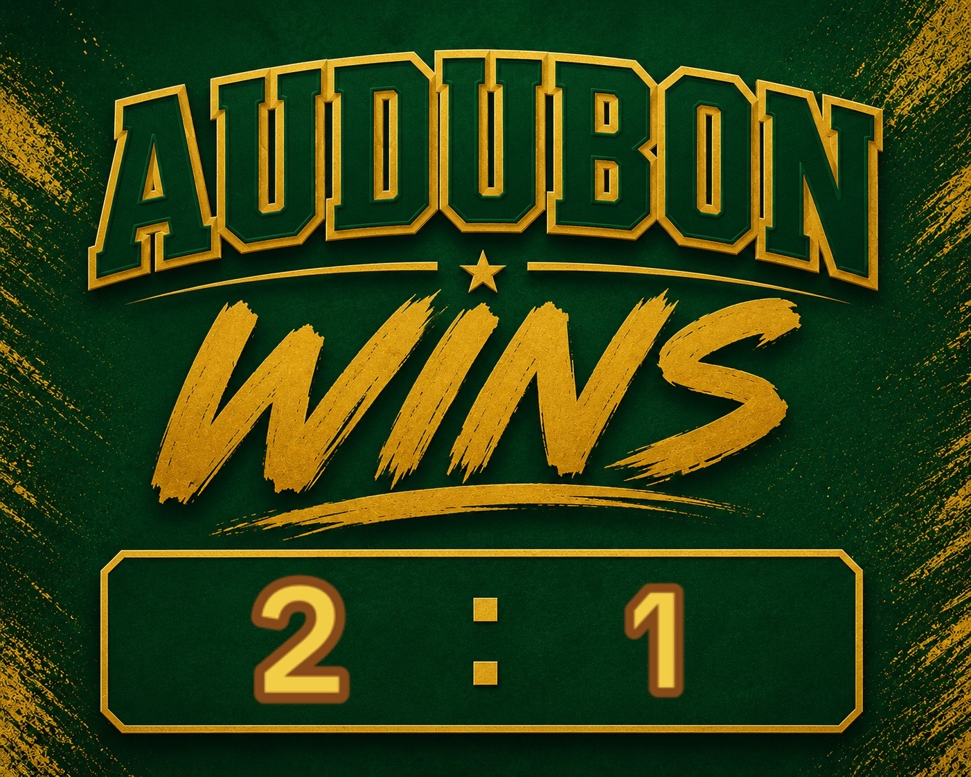 @AudubonMilitia13u