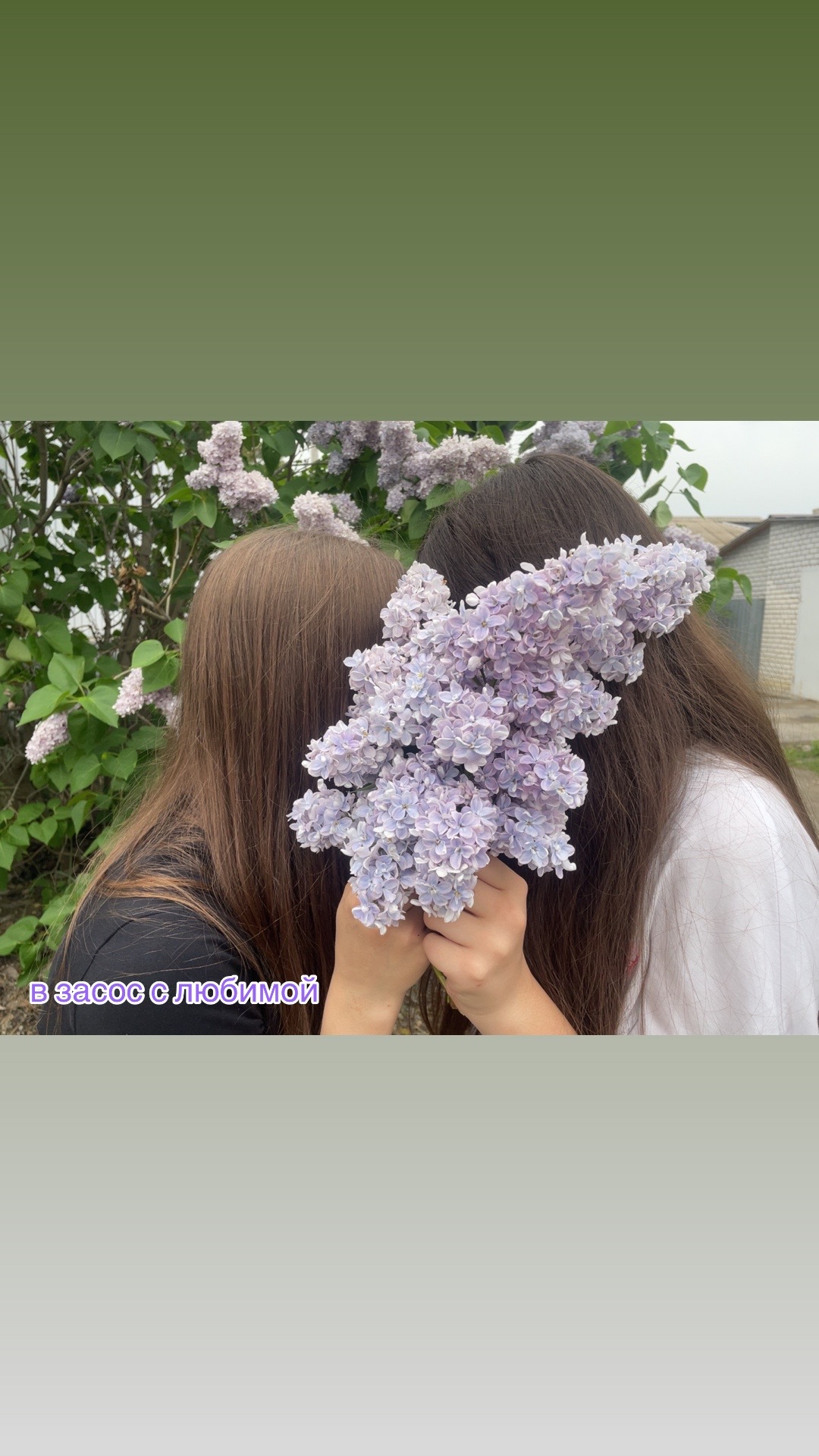 @crt1qq