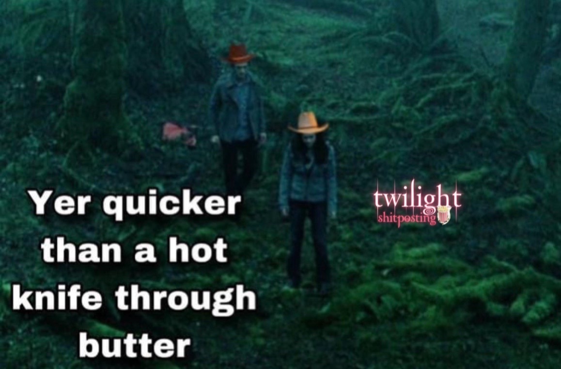 @📚 Twilight Shitposting💿