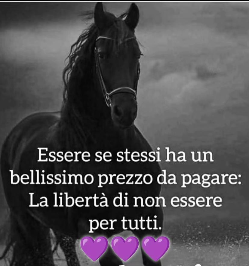 @rosariorizzolo578