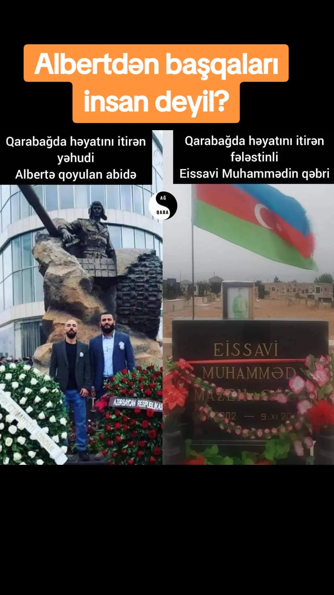 @Turkan