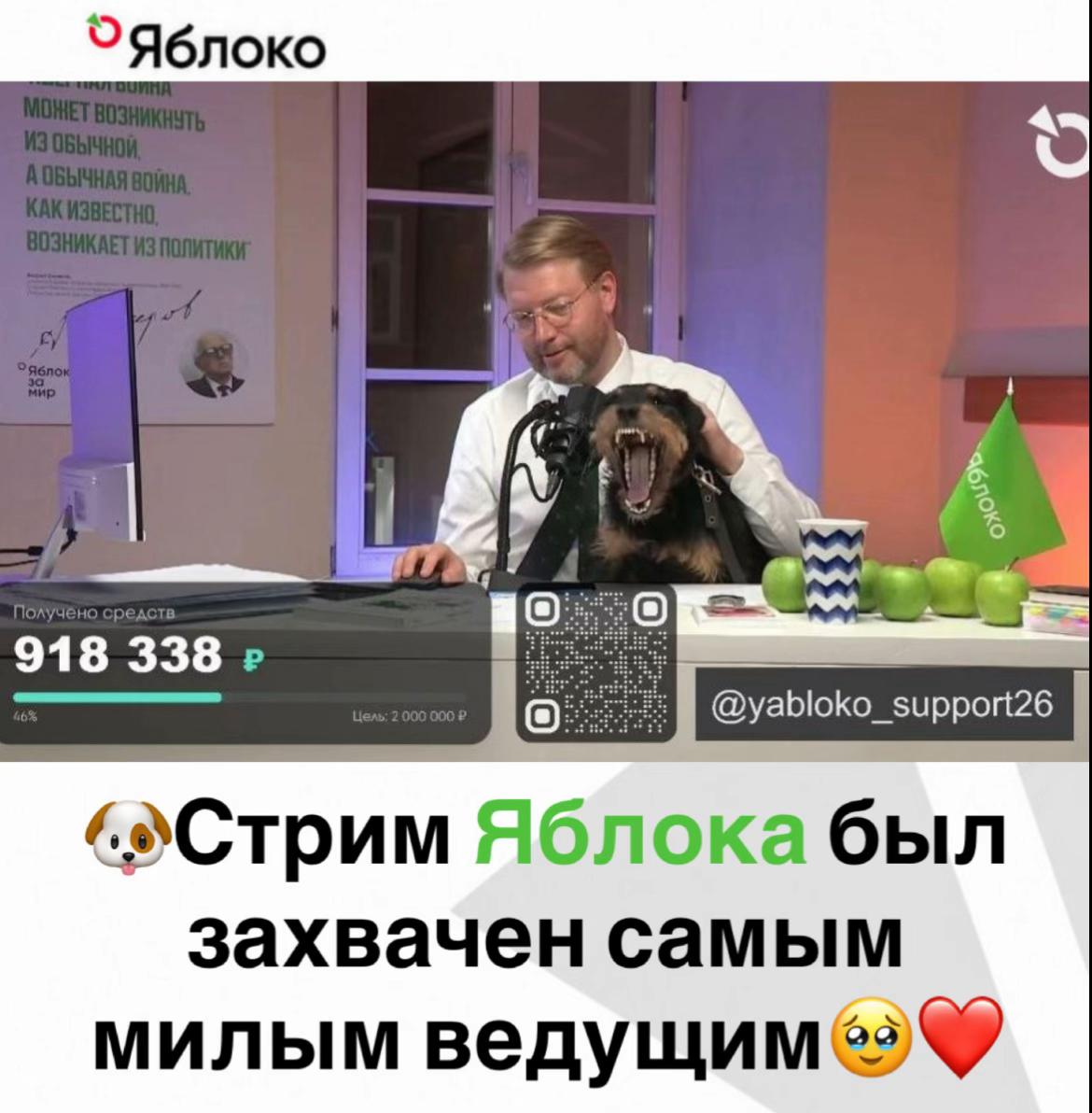 @Партия Яблоко