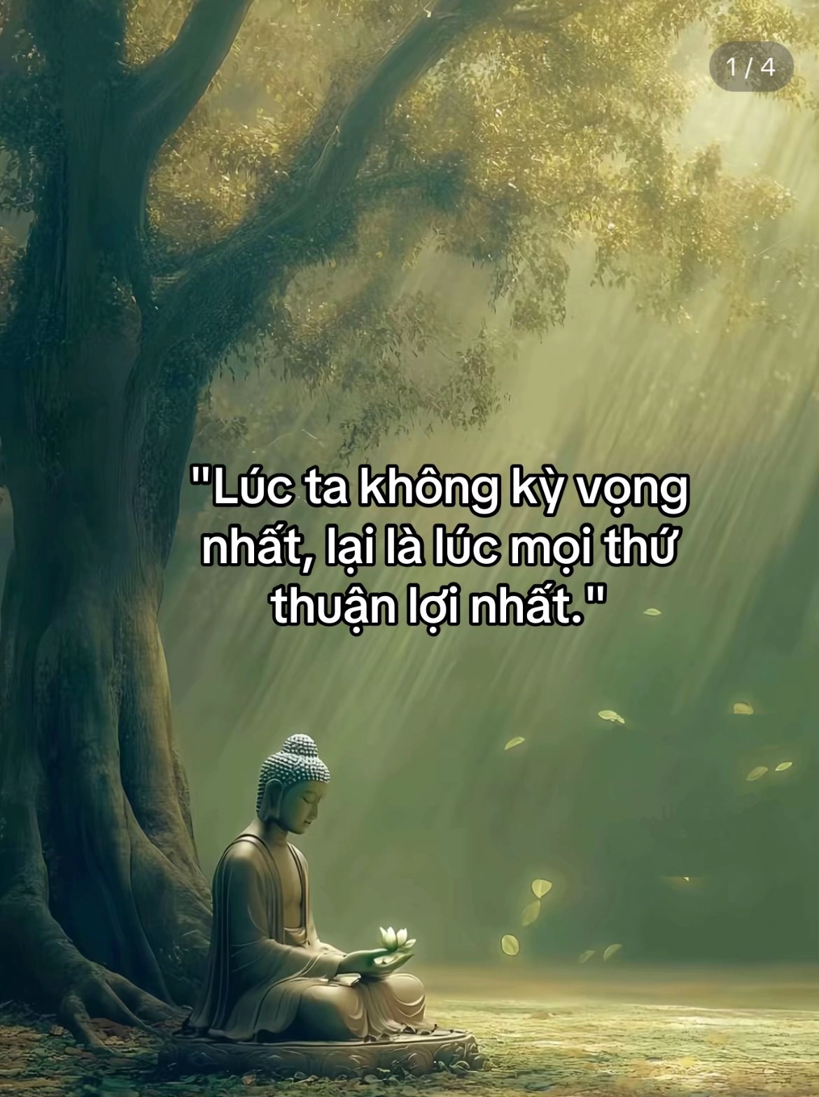 @N🌼