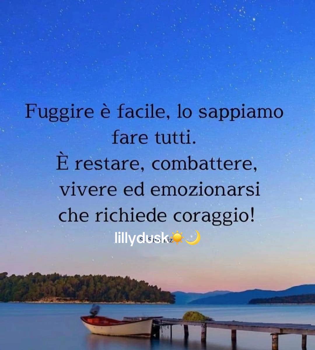 @@lillydusk☀️🌙