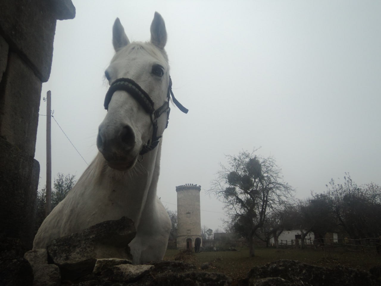 @коф