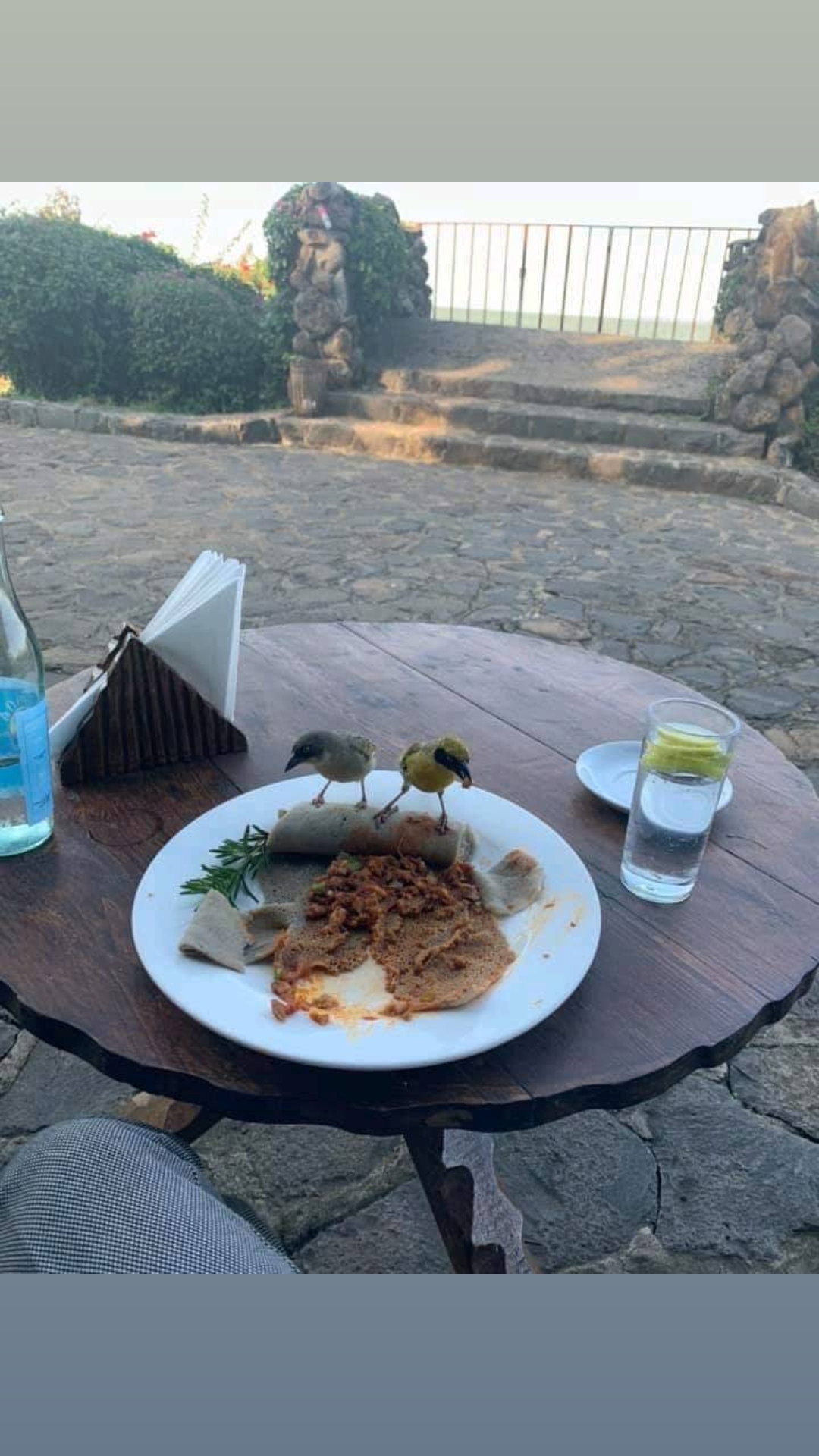 @zites 🇪🇷🇪🇷❤️