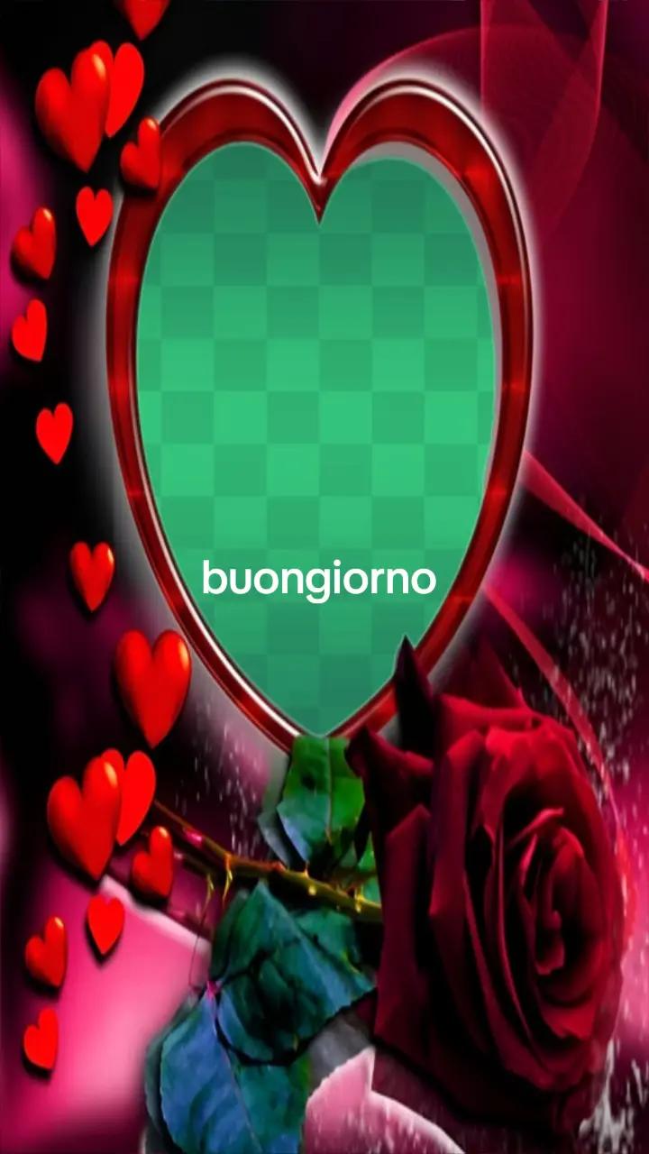 @antonellagaudino61