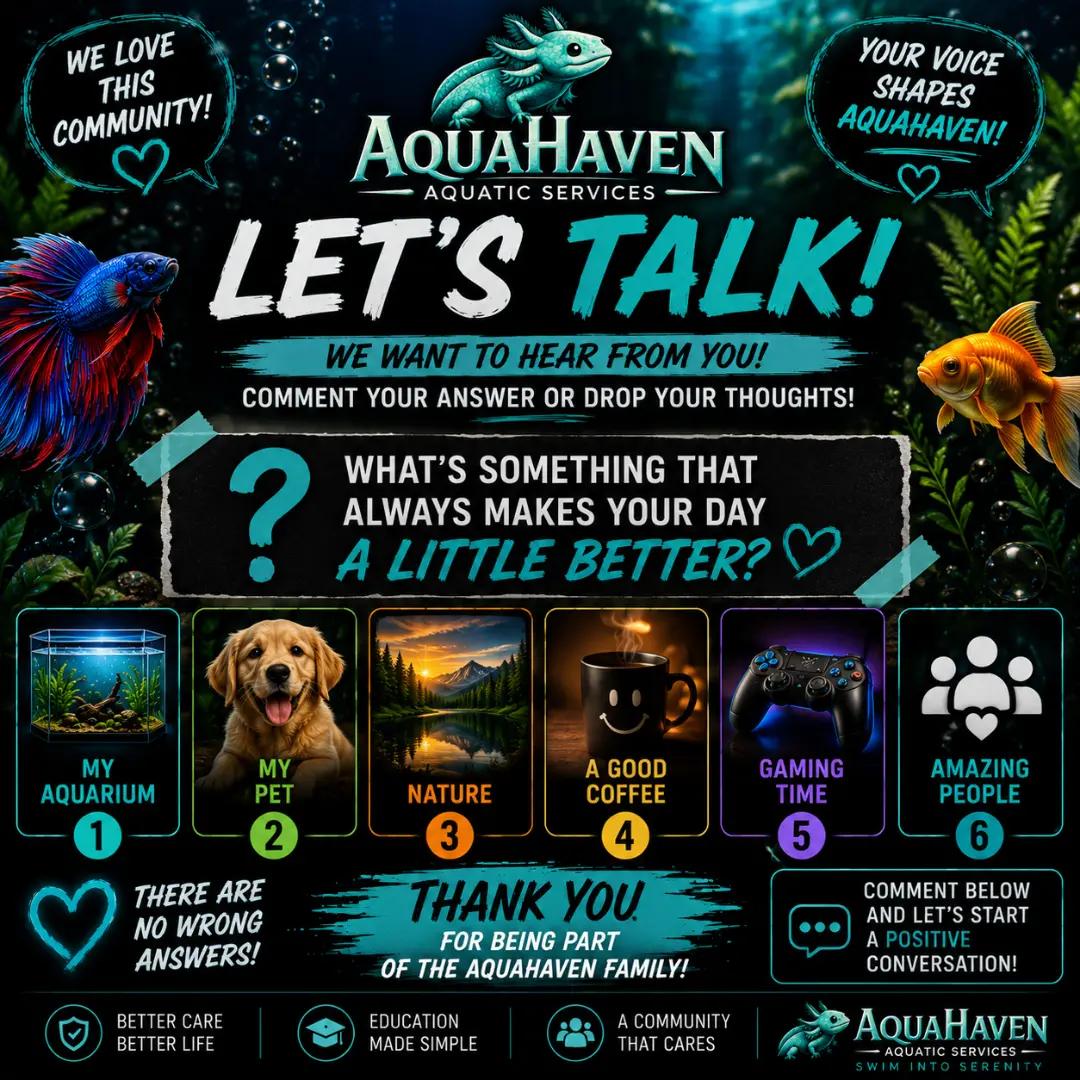@AquaHaven™️🐠🌌🌊