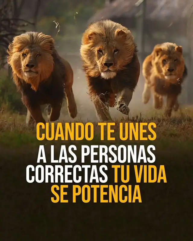 @Luzdedios8888