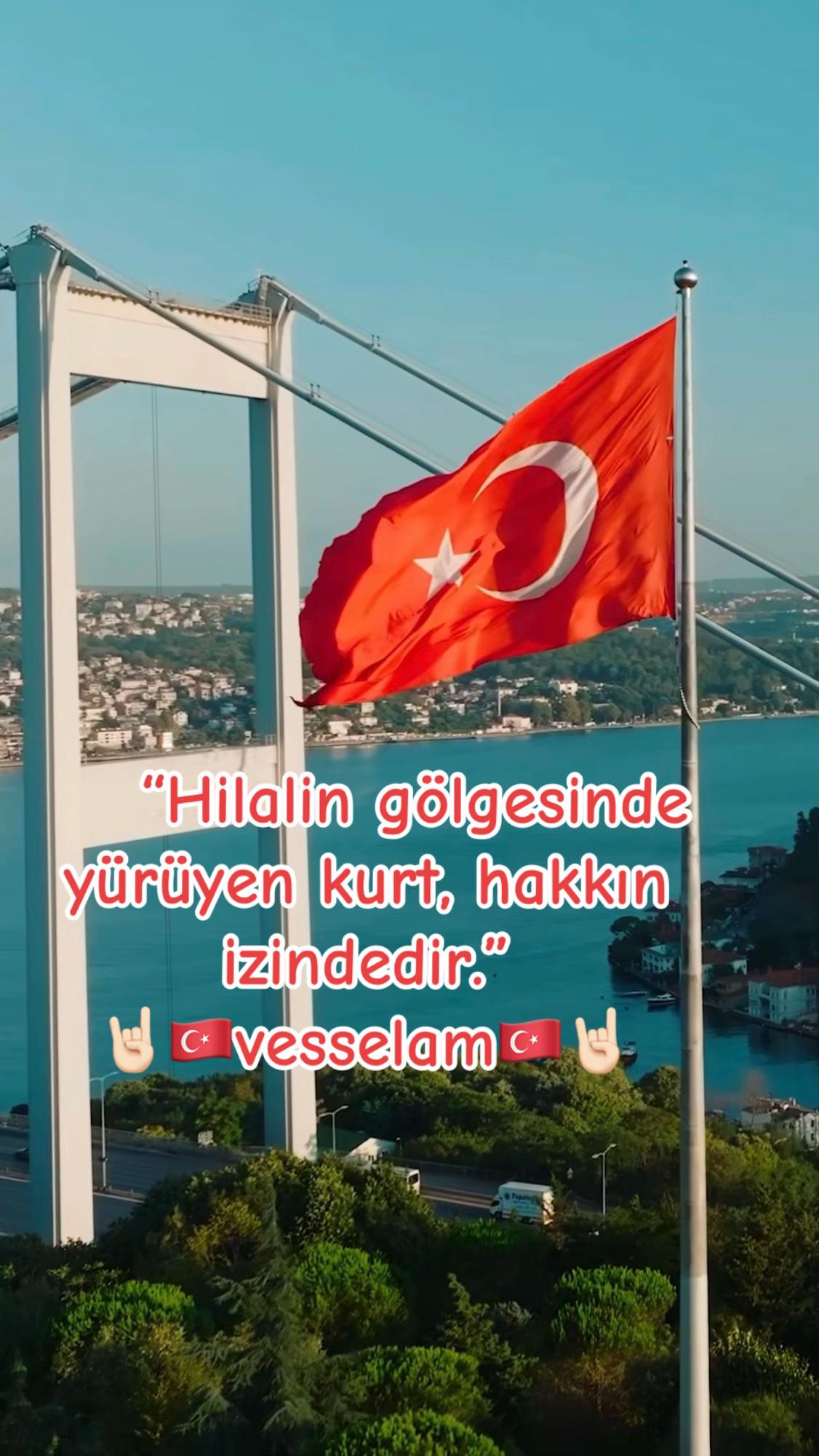 @dilavereryilmaz