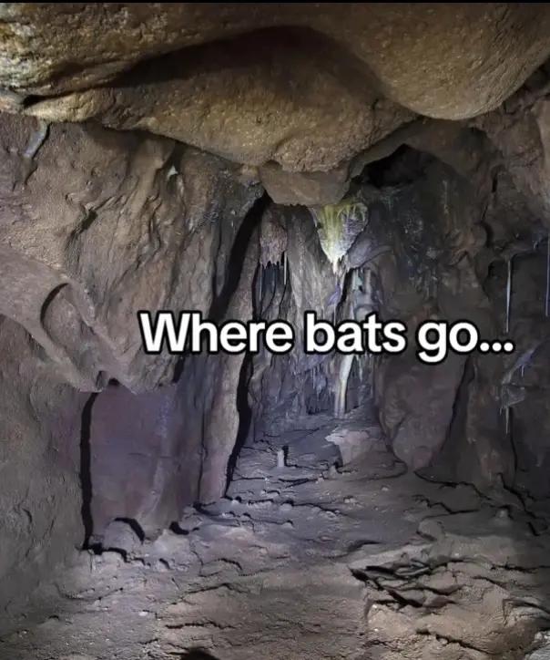 @unknown