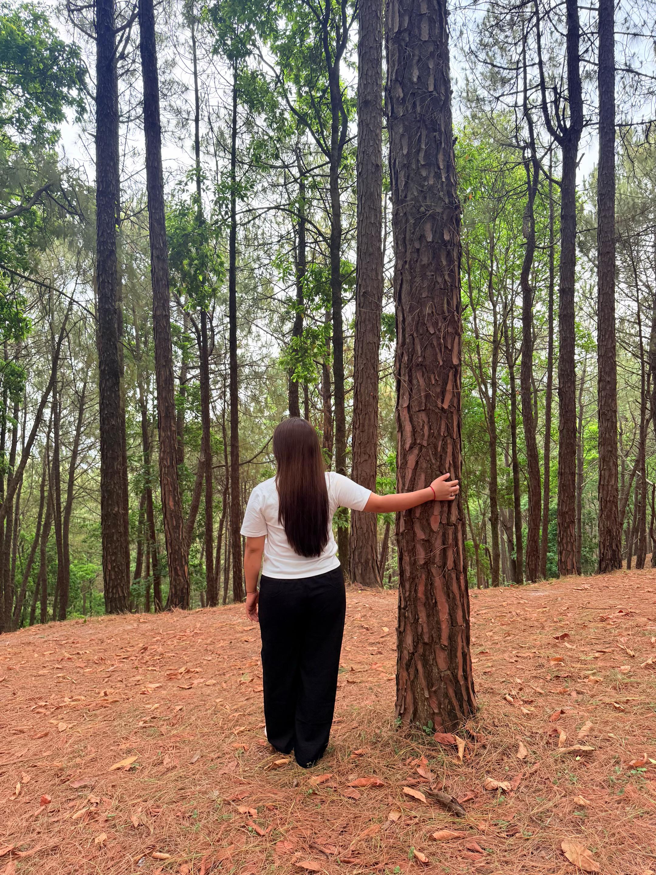 @SumiGurung🇳🇵