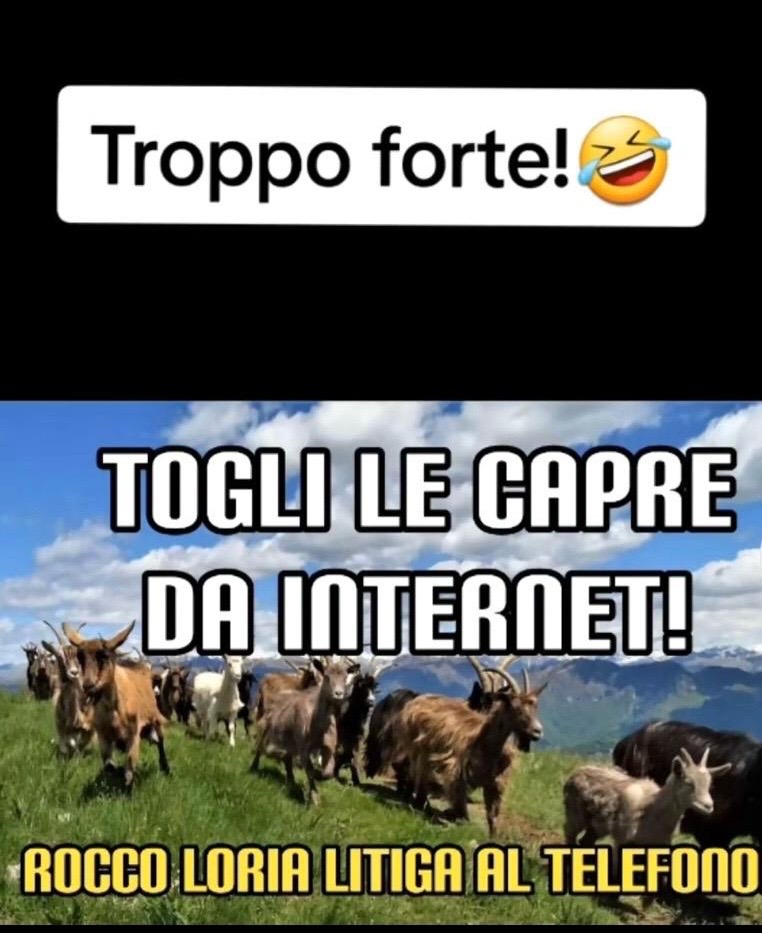 @Francafusaro05