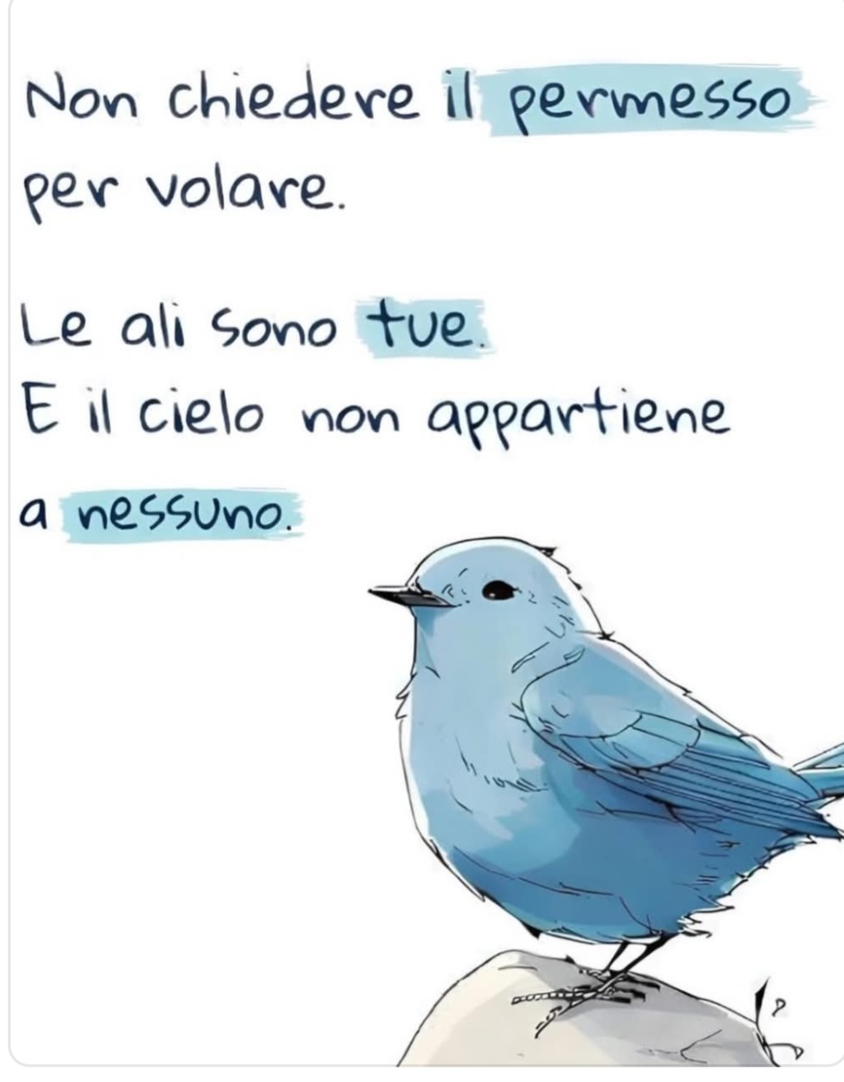 @lucia