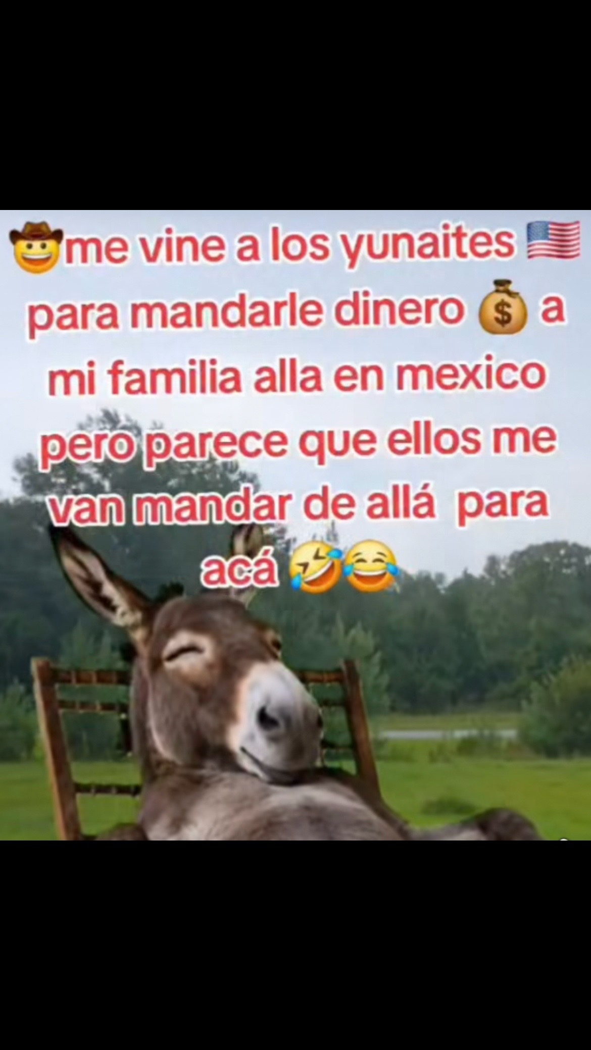 @Pedro Cruz
