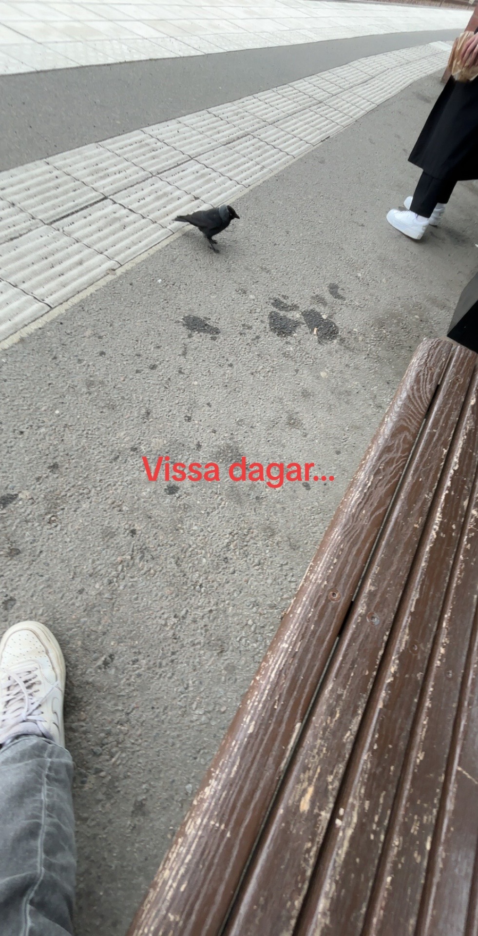 @tim.bjorkman0