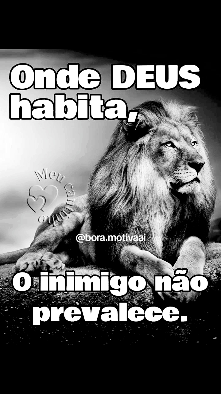 @Bora Rezar