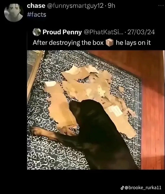 @lyssia😻😍