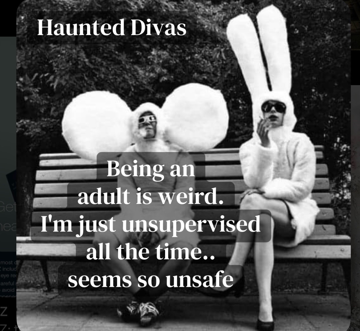 @haunted.divas