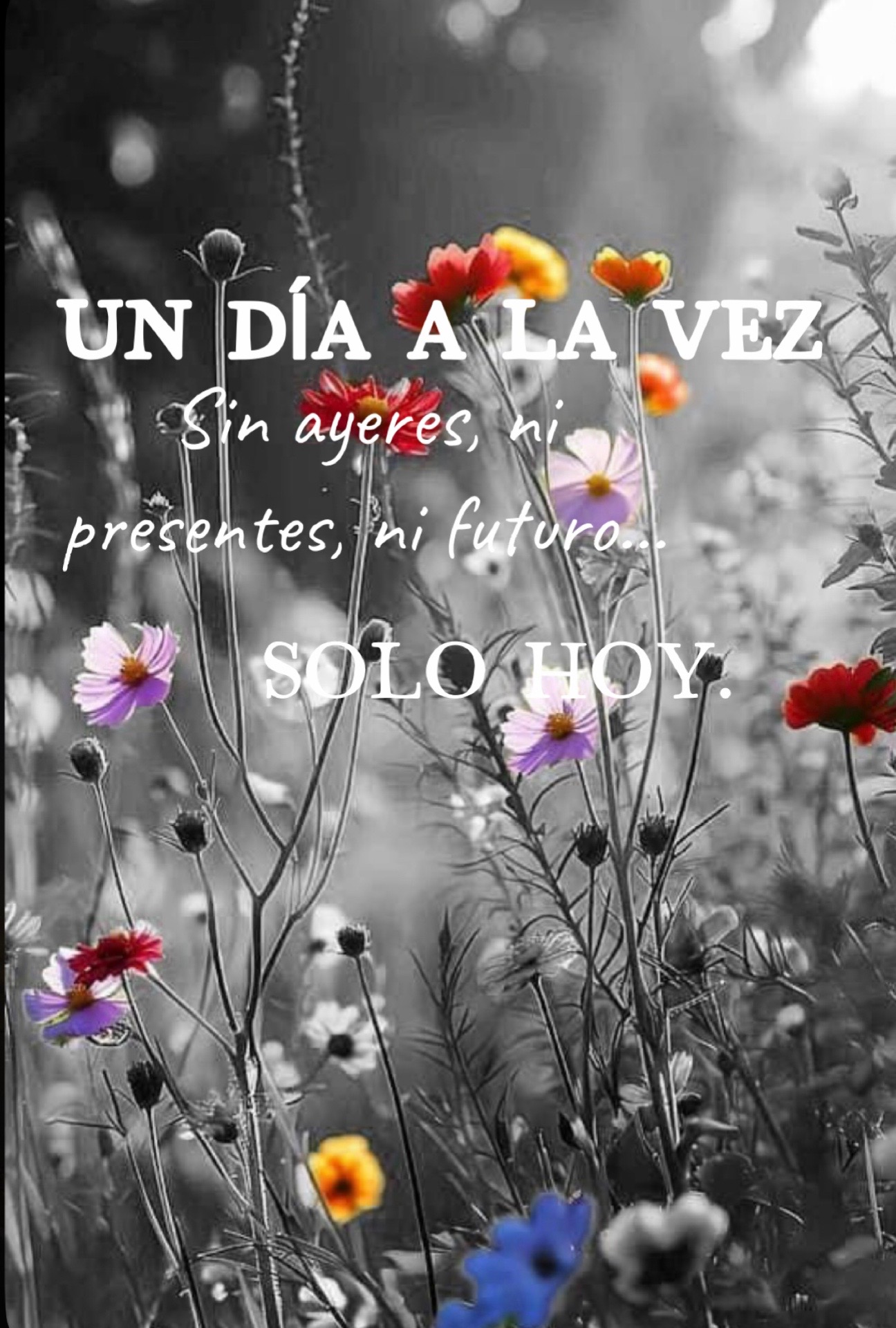 @Las mujeres facturamos
