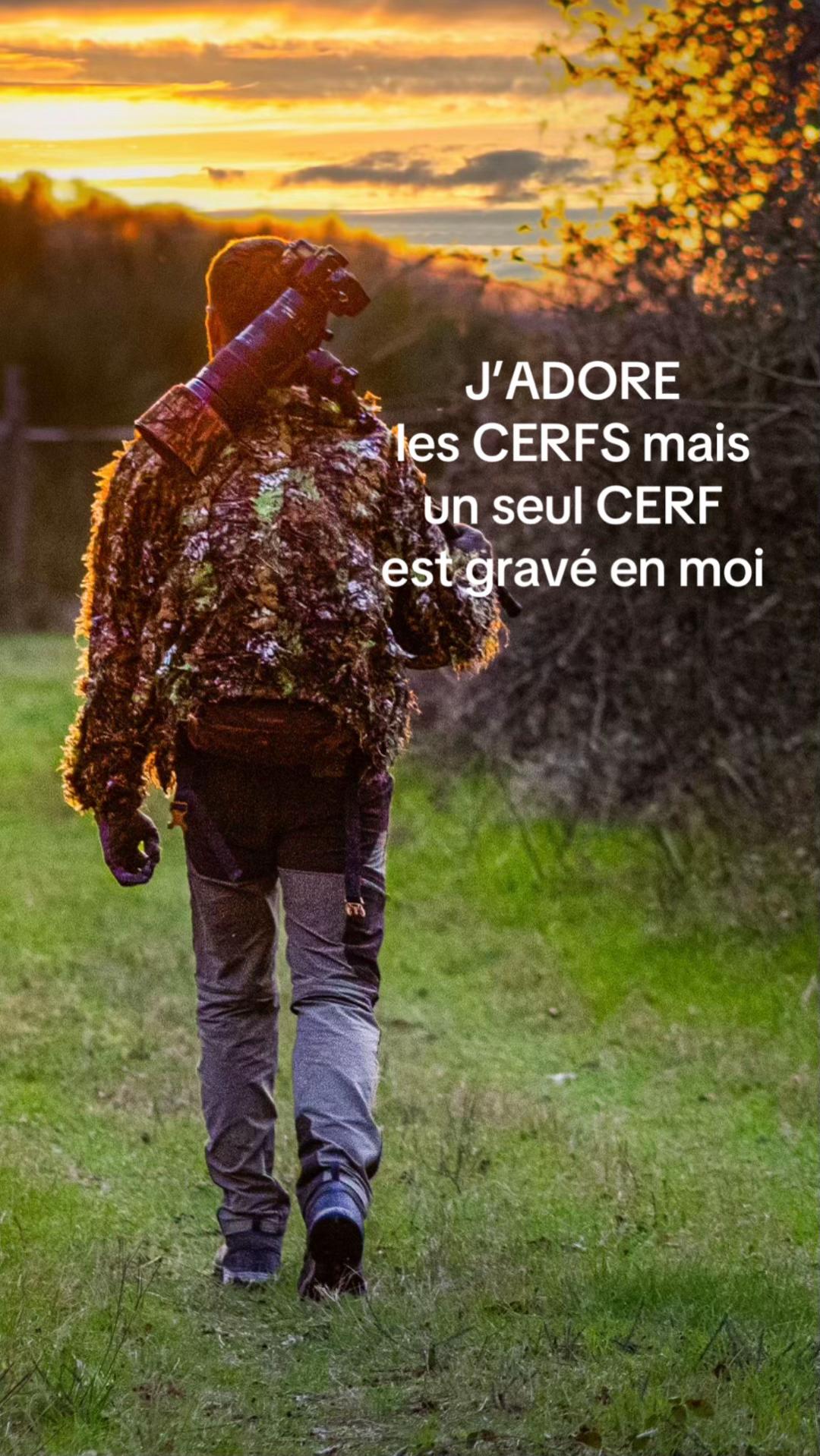 @Axel Wildlife
