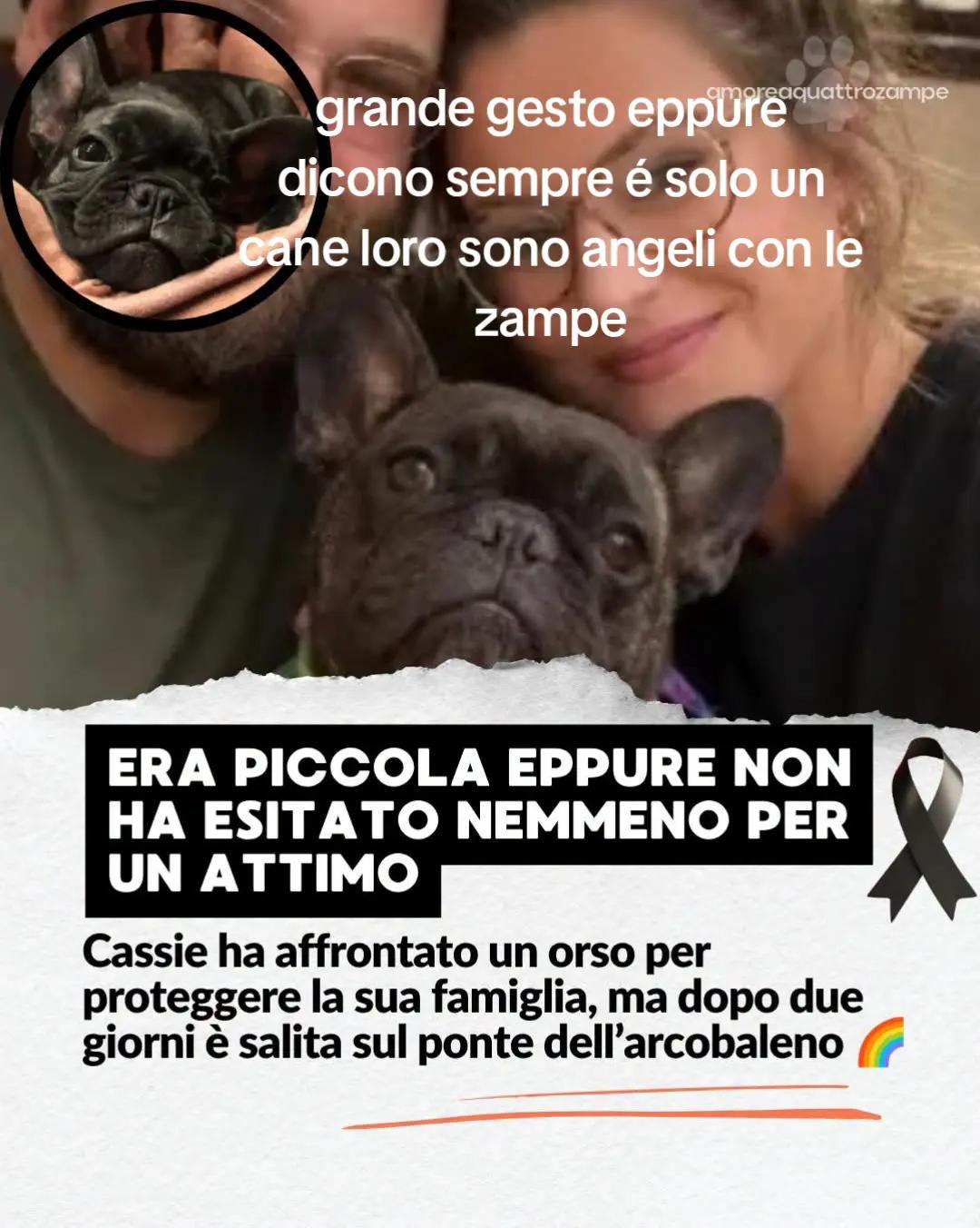 @Giovy