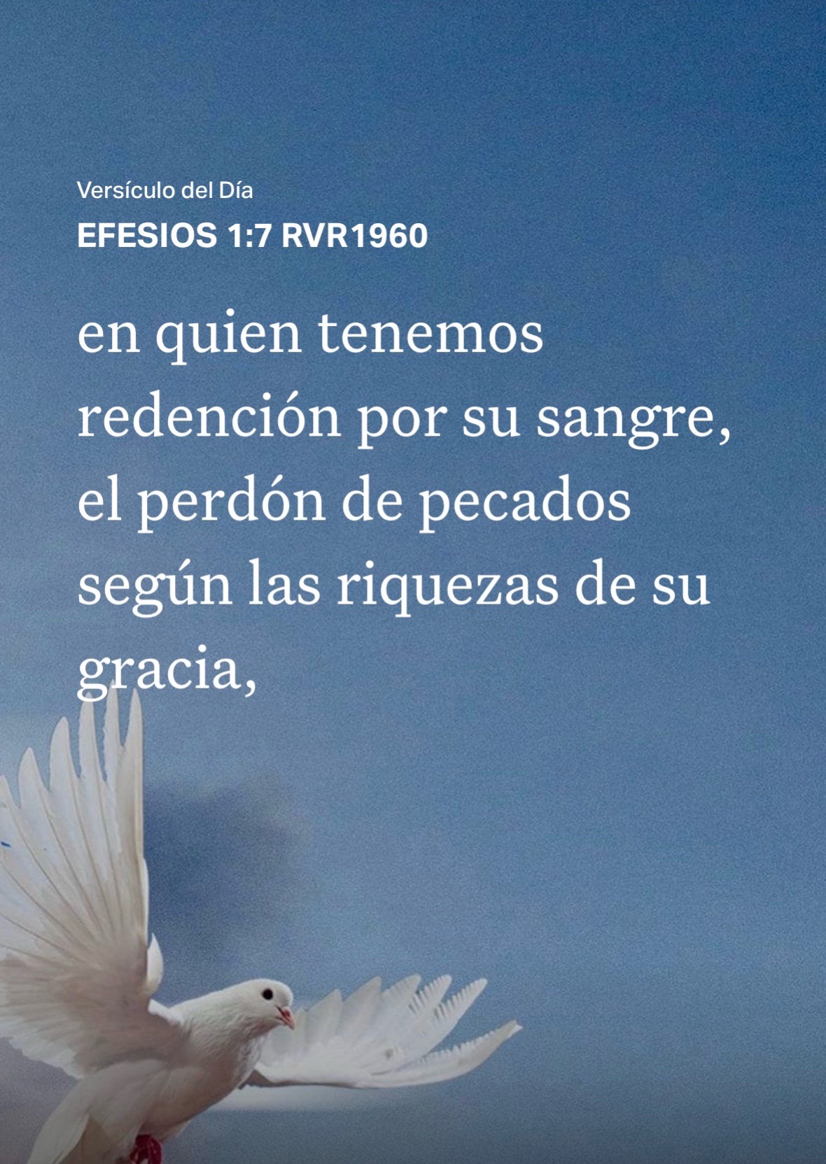 @Irma Hern&aacute;ndez
