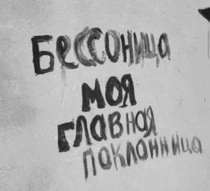@леруа🐾🐈⬛