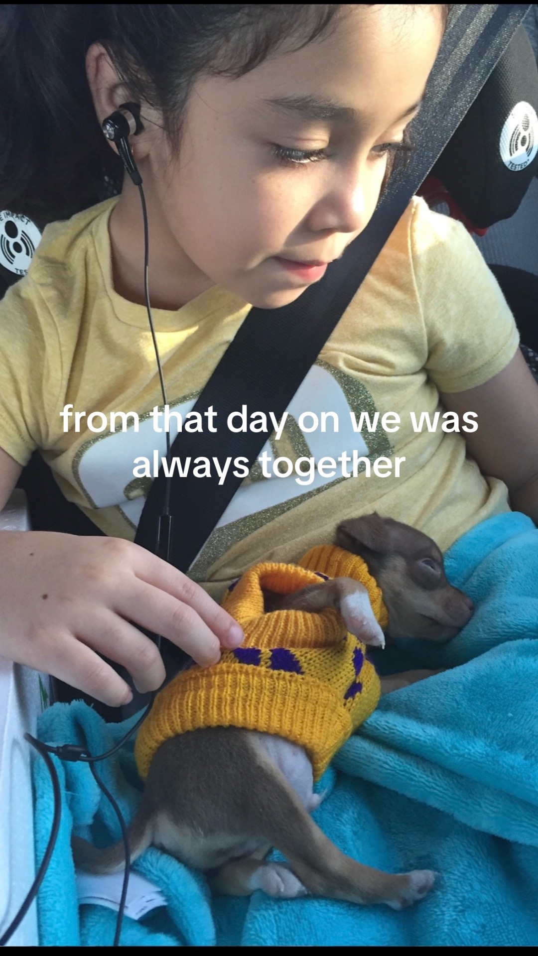 @dani