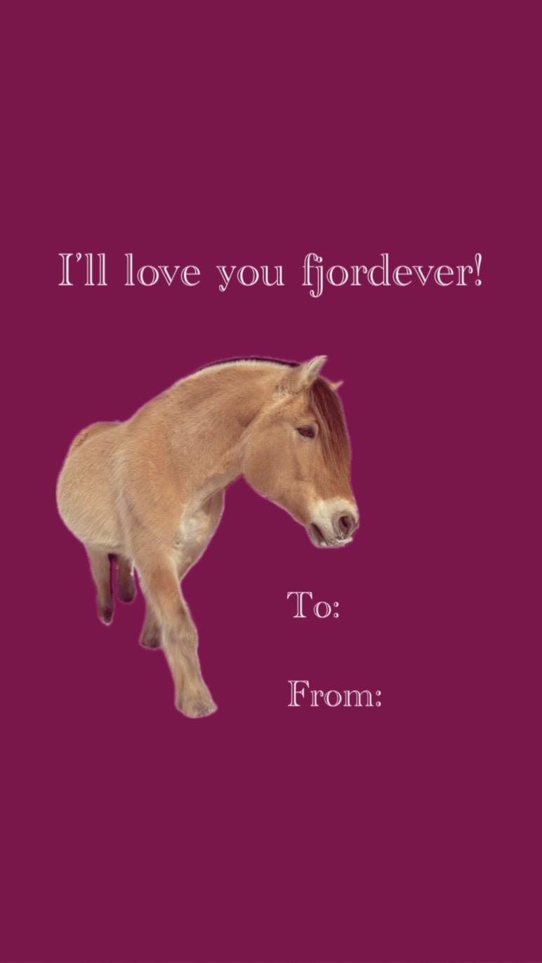 @Katelyn Smith