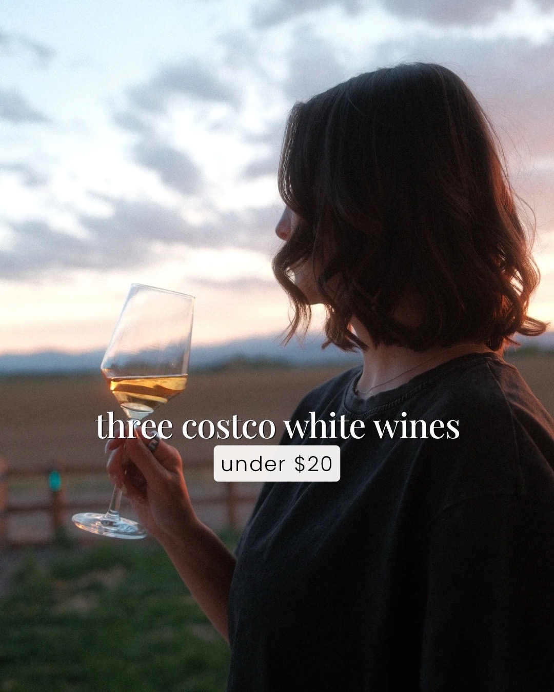 @GABI | WINE + COLORADO LIVING