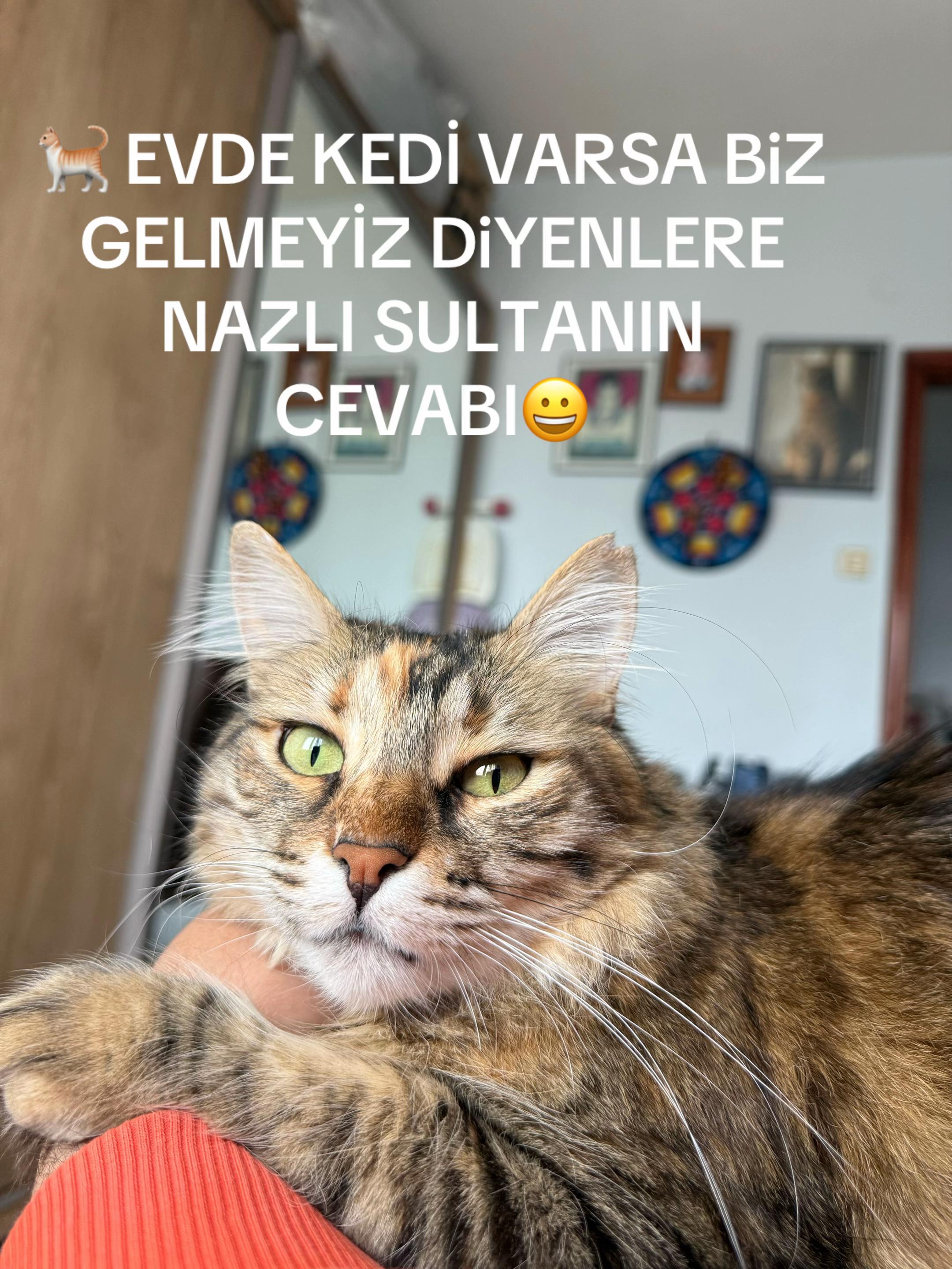 @nazlı sultan