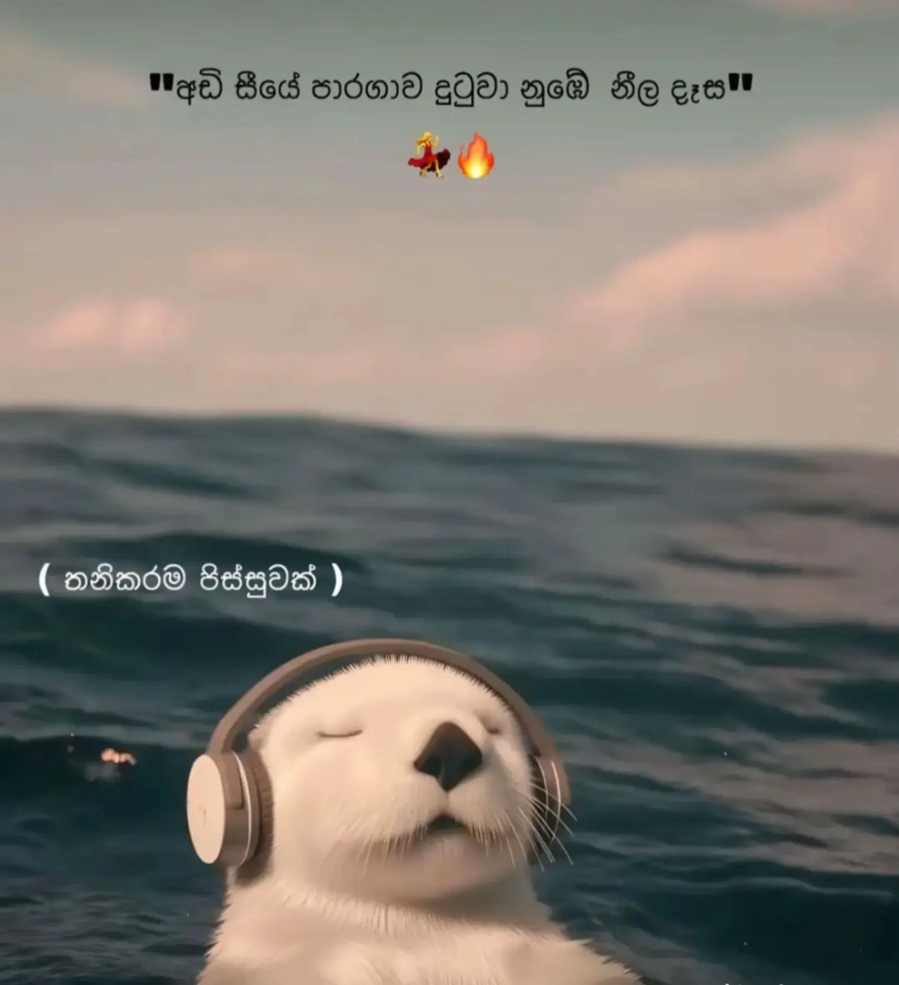 @DIL♡