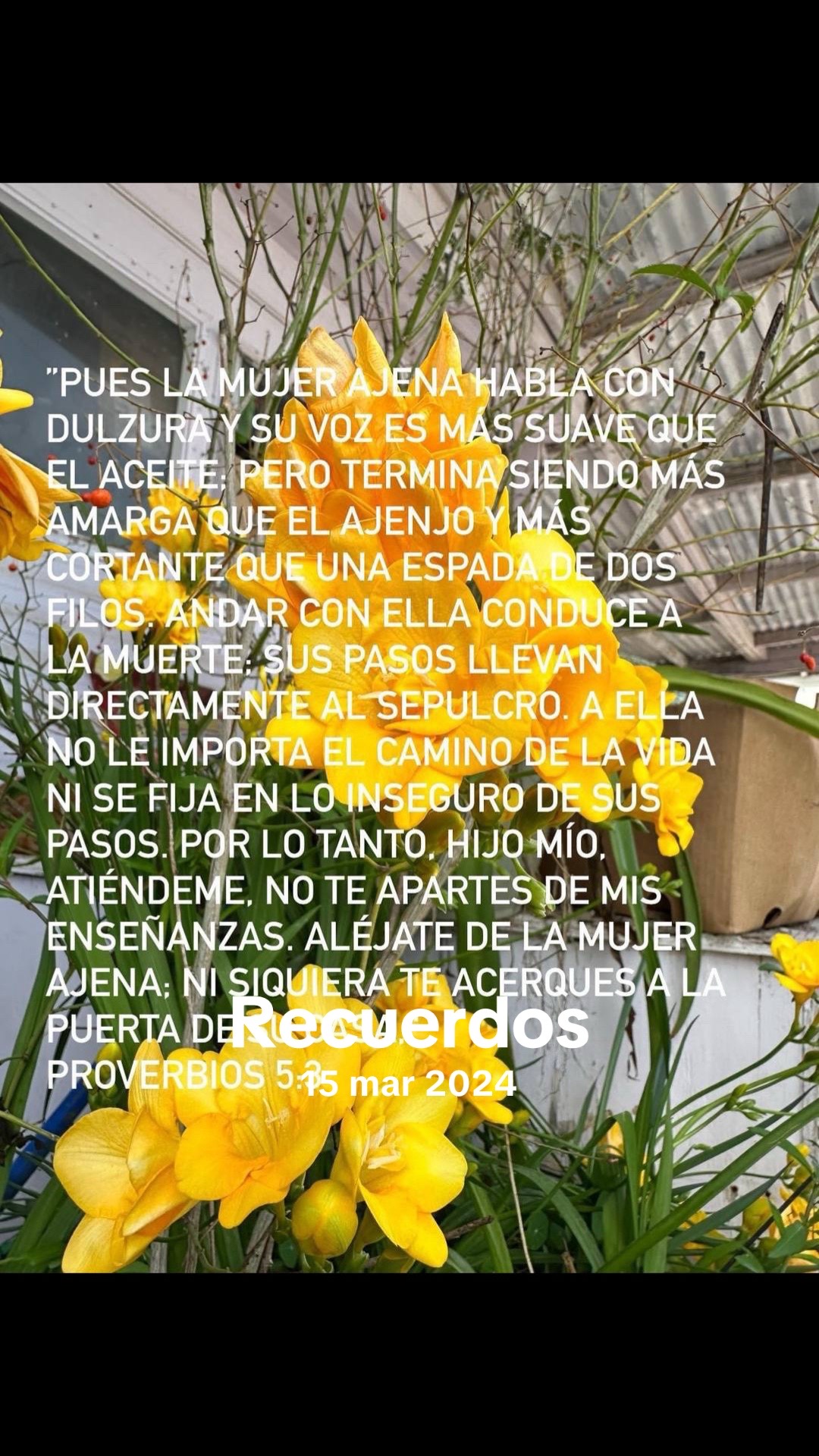 @AliciaAviles