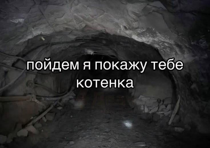 @твар