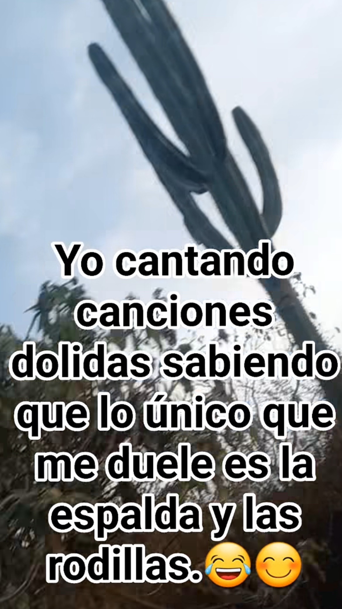 @Pedro Cruz