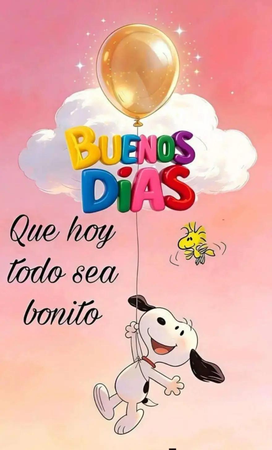 @la vida es bonita