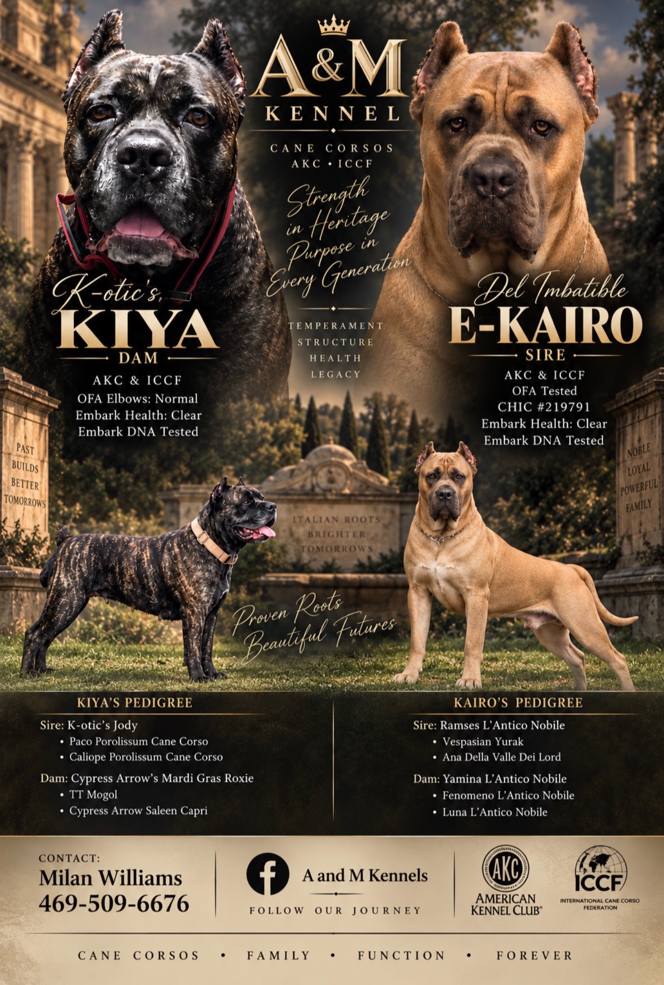 @AandMCaneCorsos