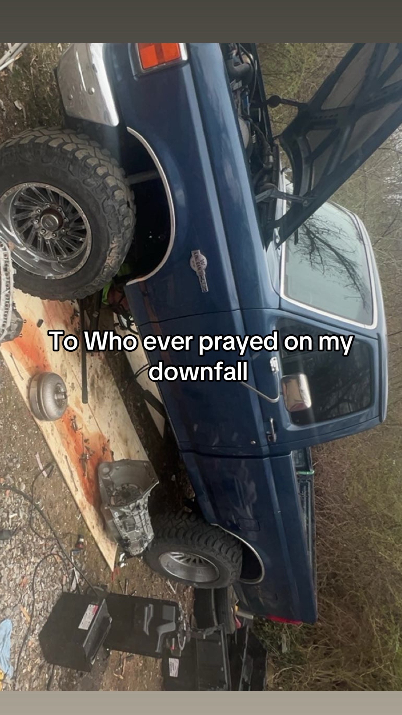 @that_blue_bricknose_7.3