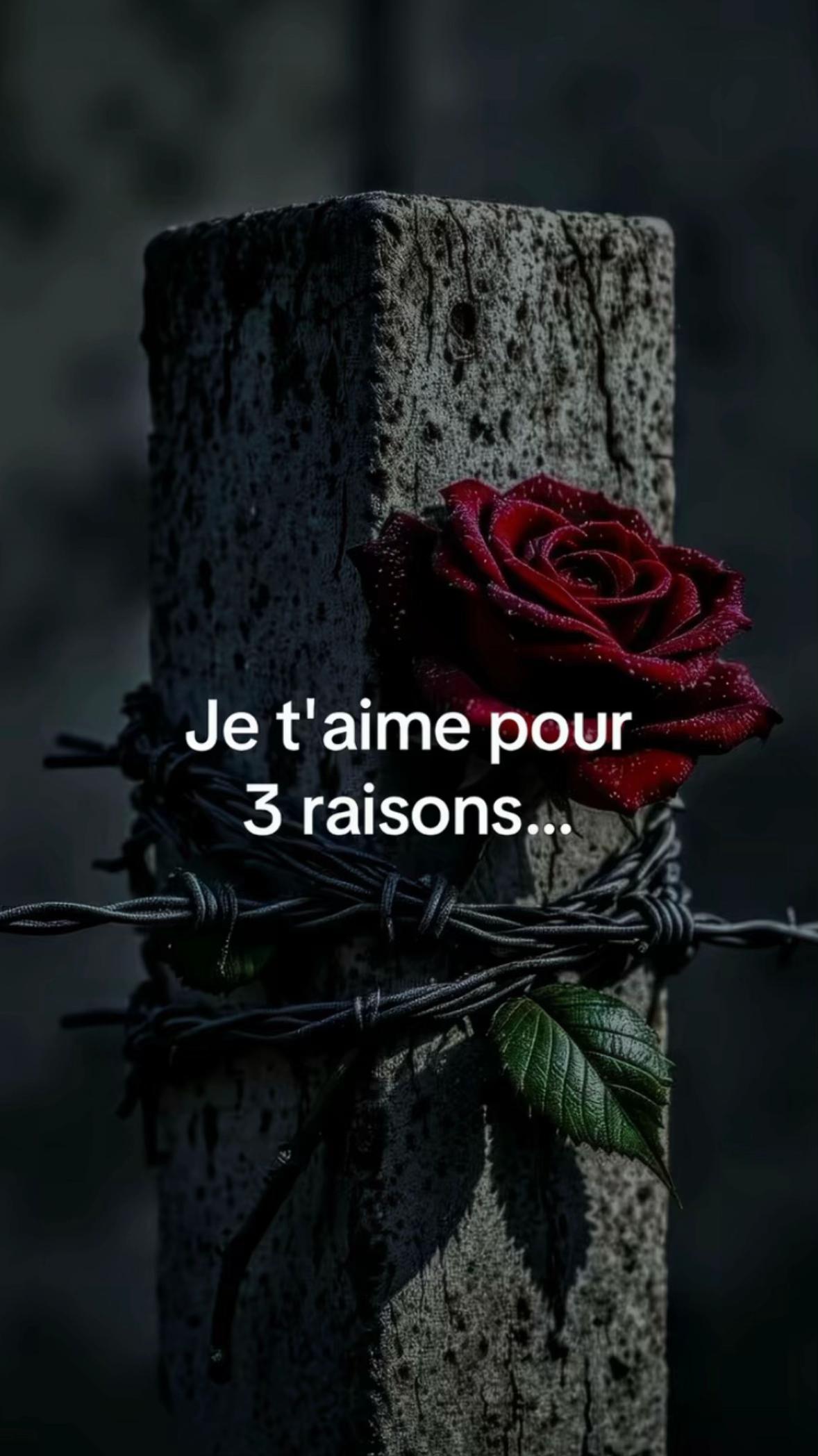 @🫧LéLé🫧