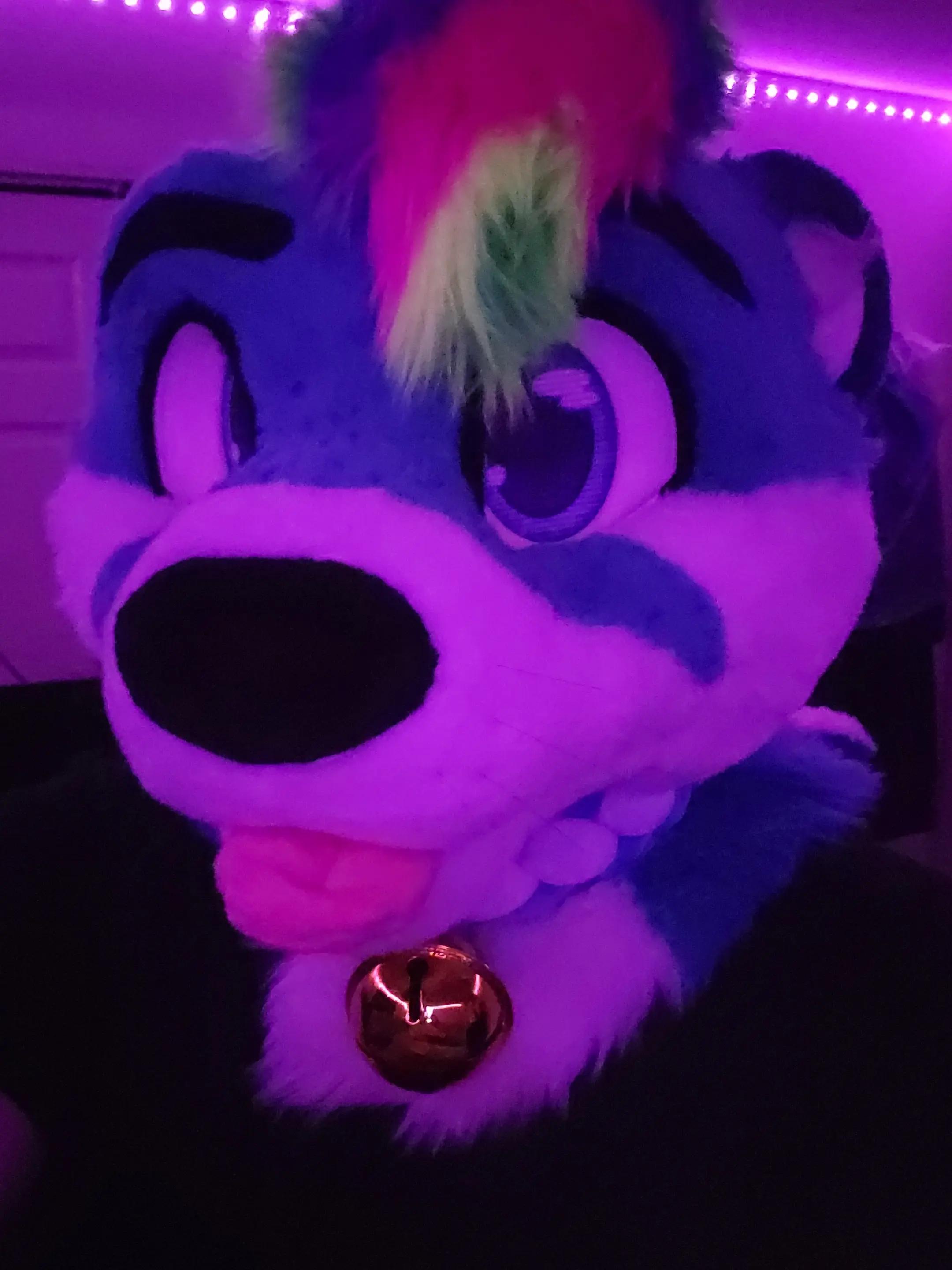 @Floofymass 🔜 AC 2026