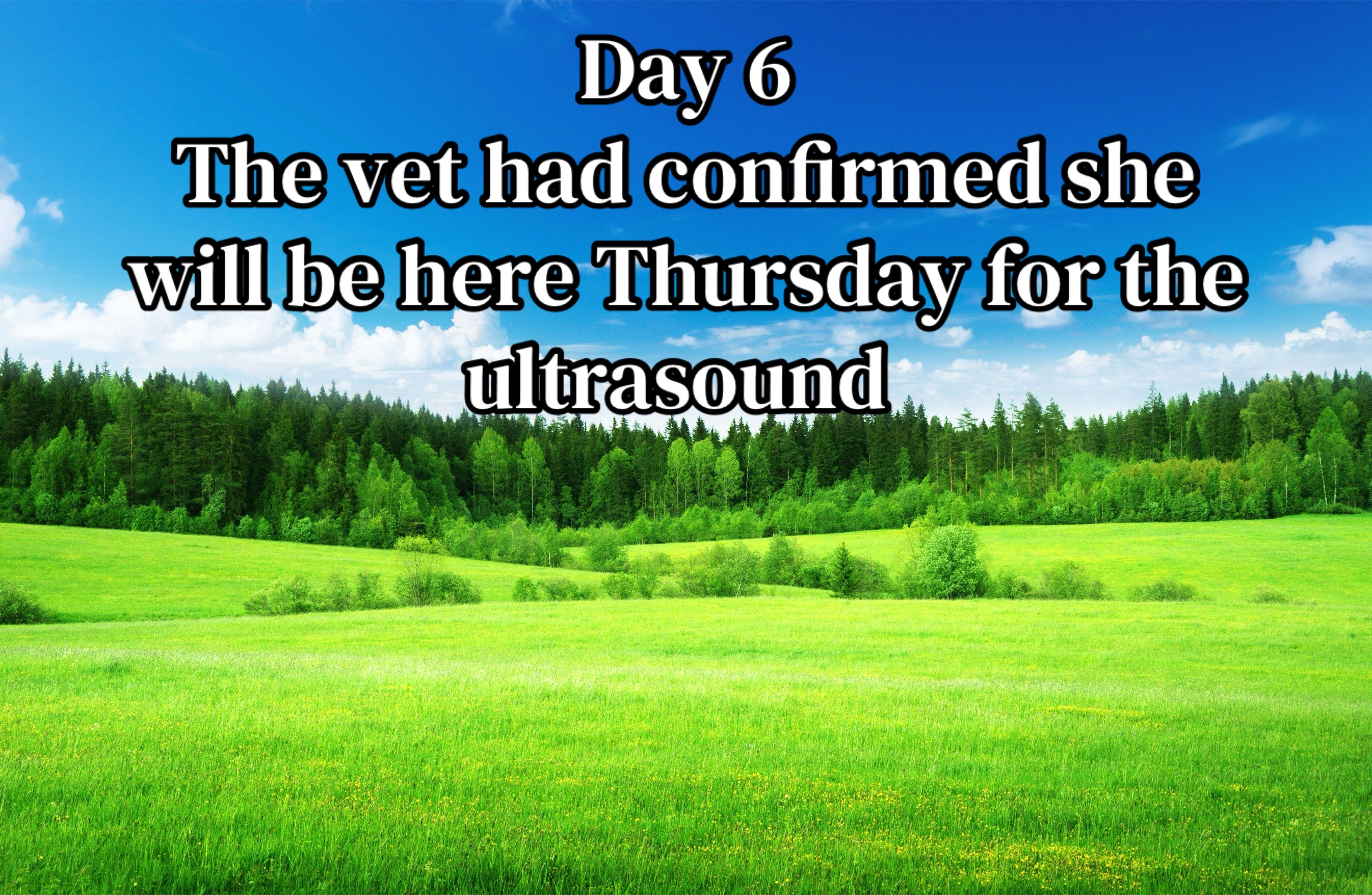 @Safe Place Pastures, Inc.