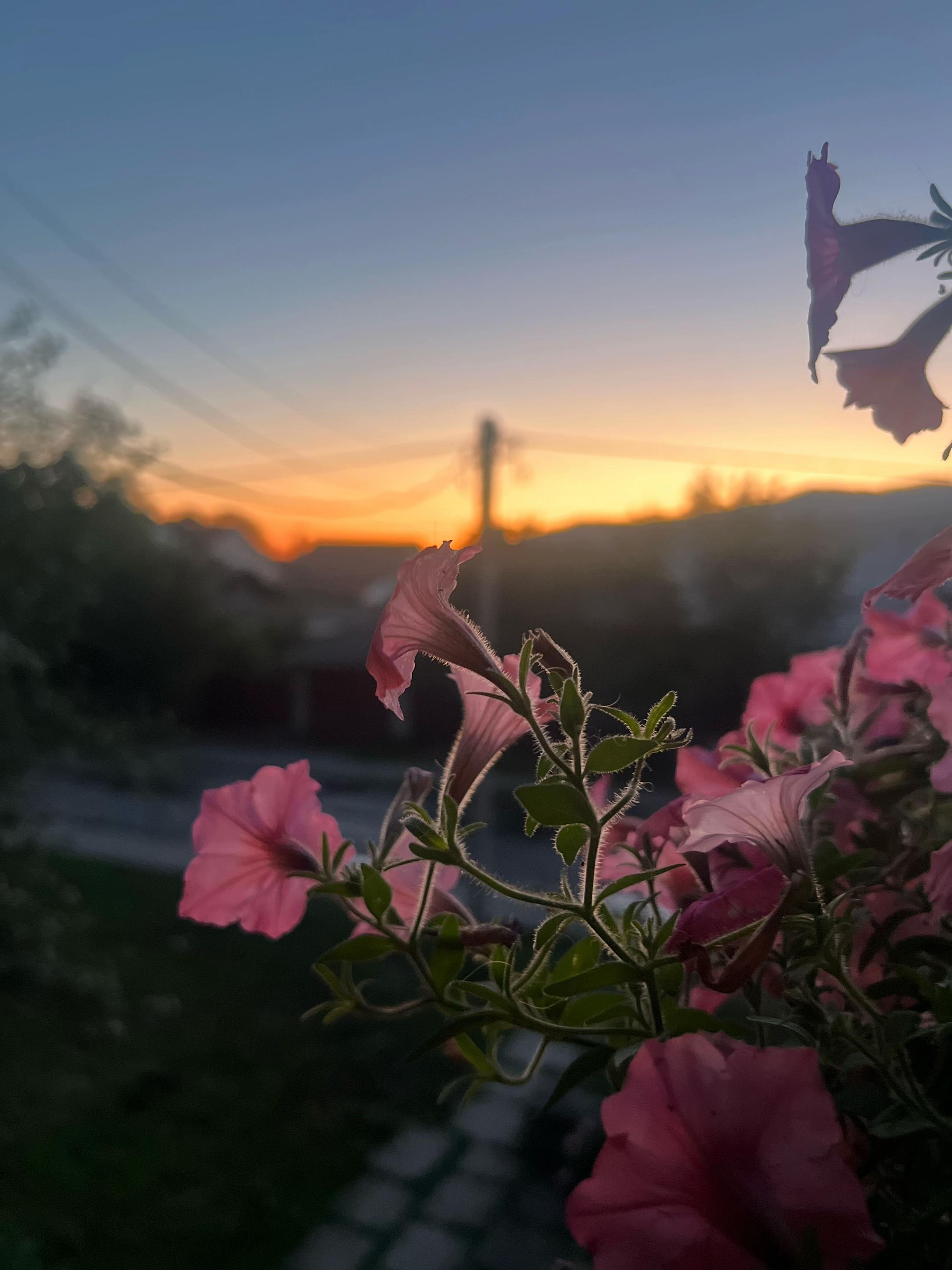 @maks_16.08.24