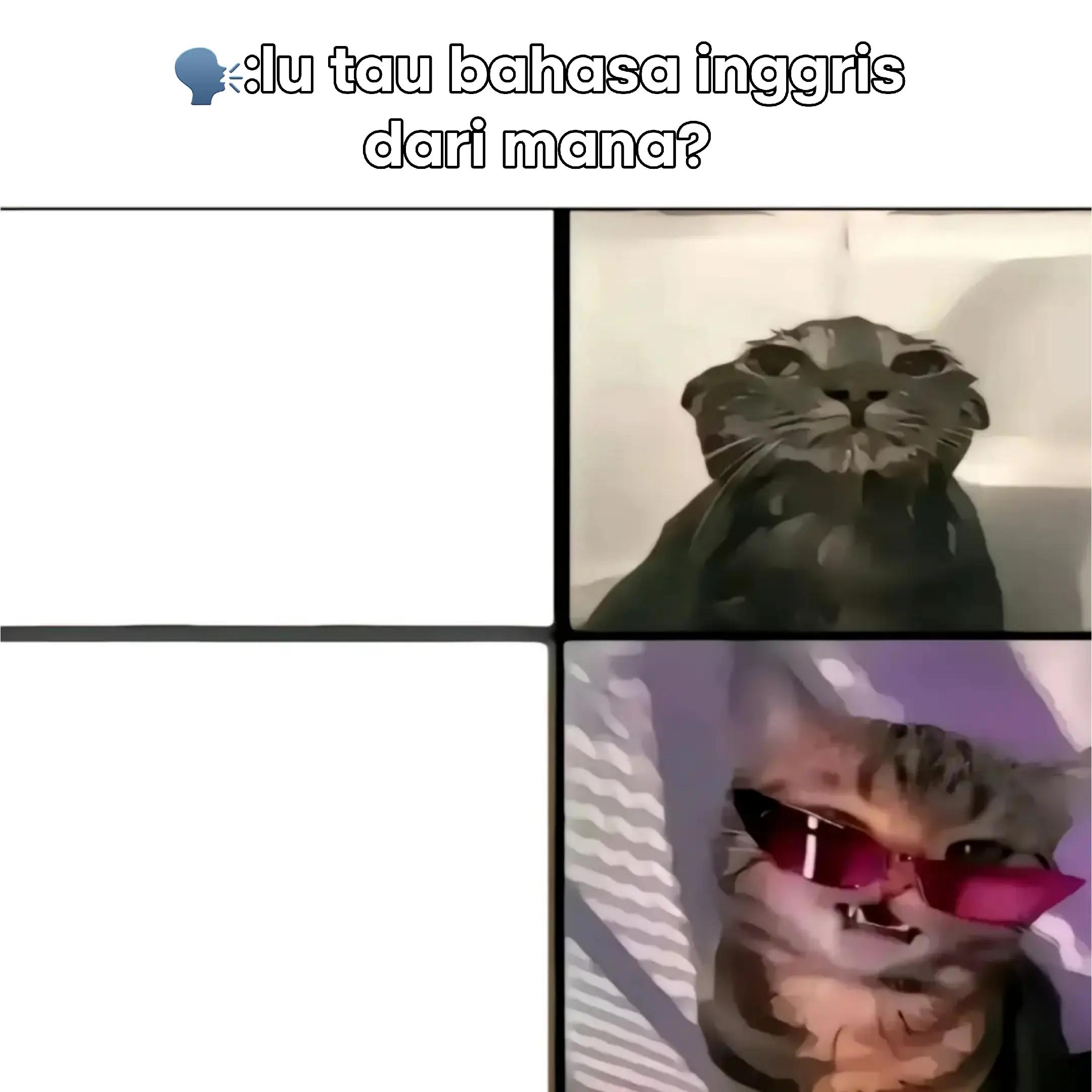 @🦖❗