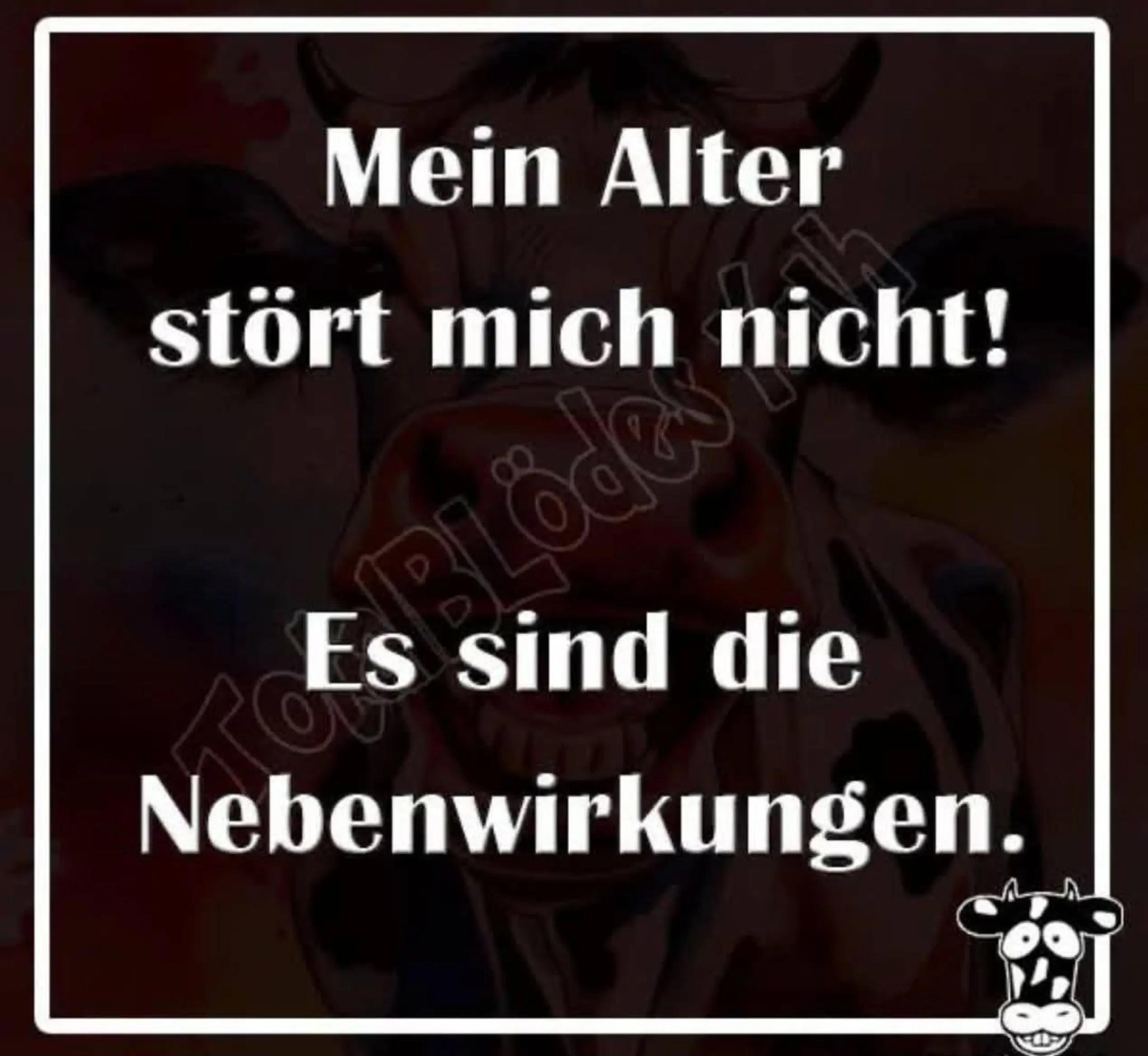 @Kati Maus