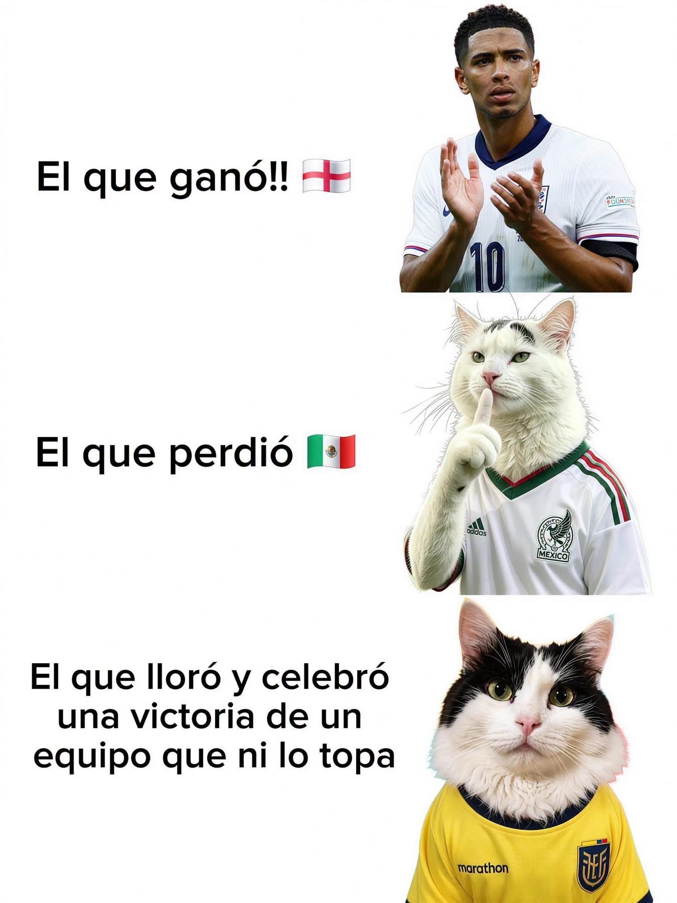 @Elena Villegas