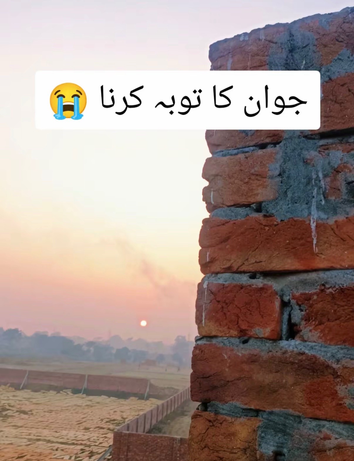 @UK khan 💕