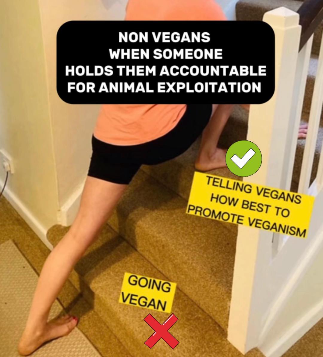 @vegandesign