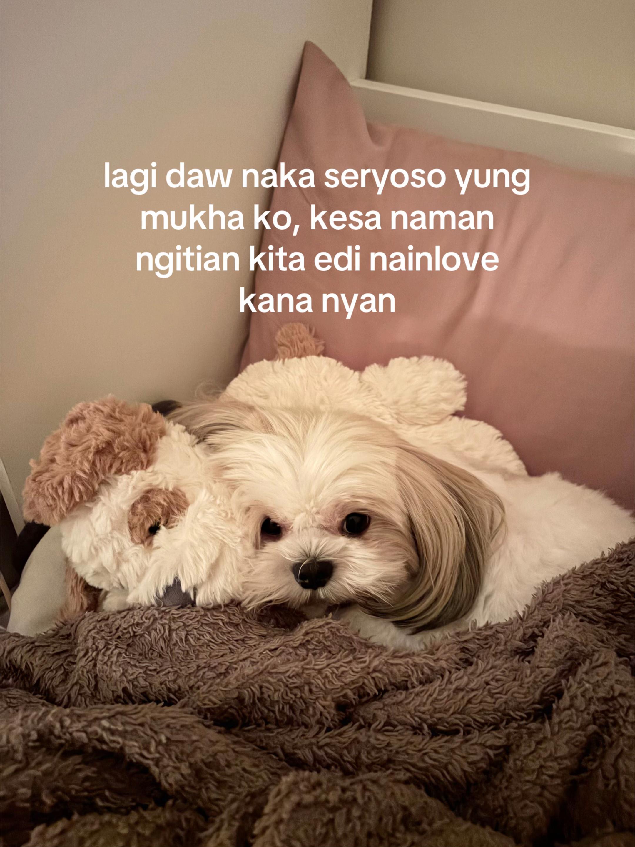 @POLA ˙𐃷˙